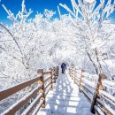 마을안관광코스 10코스 이미지