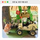 신혼여행 D-2 | 카젤라파크 후기 모리셔스 꼭 가봐야할 곳