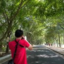 청학파출소 | [괴산] 속리산 계곡과 휴식하기 좋은 화양구곡