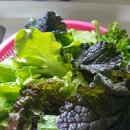 뽑기농장 이미지