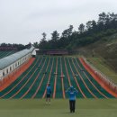 사계절썰매장 이미지