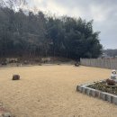 원이성커피 | 전주 근교 대나무 숲이 멋진 카페, 원이성커피 후기 🌿☕