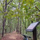 덕암목장 이미지