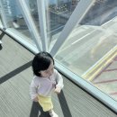 해비치 바람의 집 | 제주여행 : 해비치 리조트 클래식 스위트 오션뷰 17개월 아기랑 다녀온 후기