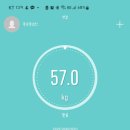니와참치 이미지