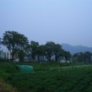 상주 조공제 이미지