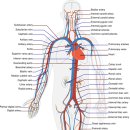 신내과의원 이미지
