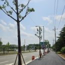 논산대로 이미지