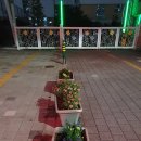 나의 정원 이미지