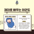 한국체대 태권라움 태권도장 이미지