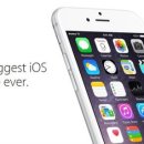 대신종합카 이미지