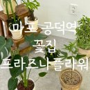 마포-공덕-마포-5413 이미지