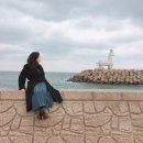 파인비치 | 겨울 제주도 6박 7일 자유여행 가볼만 한 곳