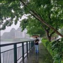 종일코스 이미지