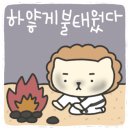 경희대라온태권도장 이미지