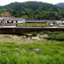 초원식당 이미지