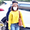 노랑병아리 이미지