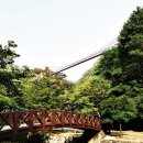 강천산종합관광안내소 이미지