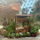 관아와 향교 관람편의시설 | 서울 봄 나들이 추천 | 마곡 서울식물원 온실 관람 &amp; 4층 푸드코트 내돈내산 후기