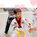 고려 인성 태권도 이미지