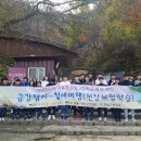 한솔고등학교 이미지