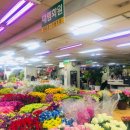 대림화원