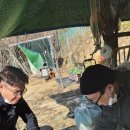 호범농장 Daum카페