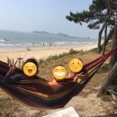 박달재농원 | [충남 충북] 전국 캠핑장 중부지역 방문 추천 총정리