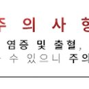 아이비라인치과의원 네이버블로그
