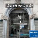 옥과농협겸면지점 네이버블로그