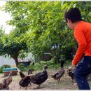 남평농장 이미지