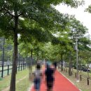 성서실내게이트볼장 이미지