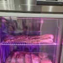 한우랩소디 이미지