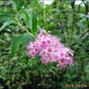 발랑1리 이미지