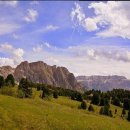 초원미용실 이미지