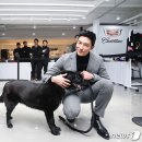 더나은마켓