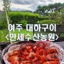 [경기/여주_내돈내산] 여주 새우구이 대하 장어 맛집 만세수산농원에서 캠핑까지!
