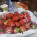 헤브론팜 이미지