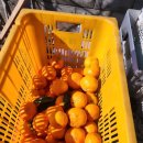 자봉마을회관 이미지