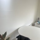 서윗트