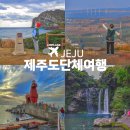제주숨비투어 이미지