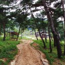 지리산숲속수목가옥 이미지