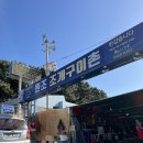 물망초횟집 | 부산 오션뷰 조개구이 맛집 <태종대 조개구이> 태종대 원조 조개구이촌 해녀 1번집