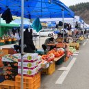 클럽프리모 이미지