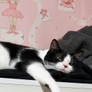 더리터용산점 이미지