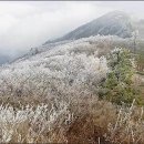 덕유산국립공원 향적봉 때아닌 상고대 이미지