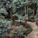 신구농장 이미지