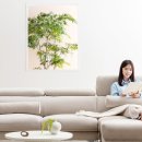 몬스터클린 이미지