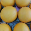 한정농장 이미지