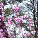 홍지마을회관 이미지